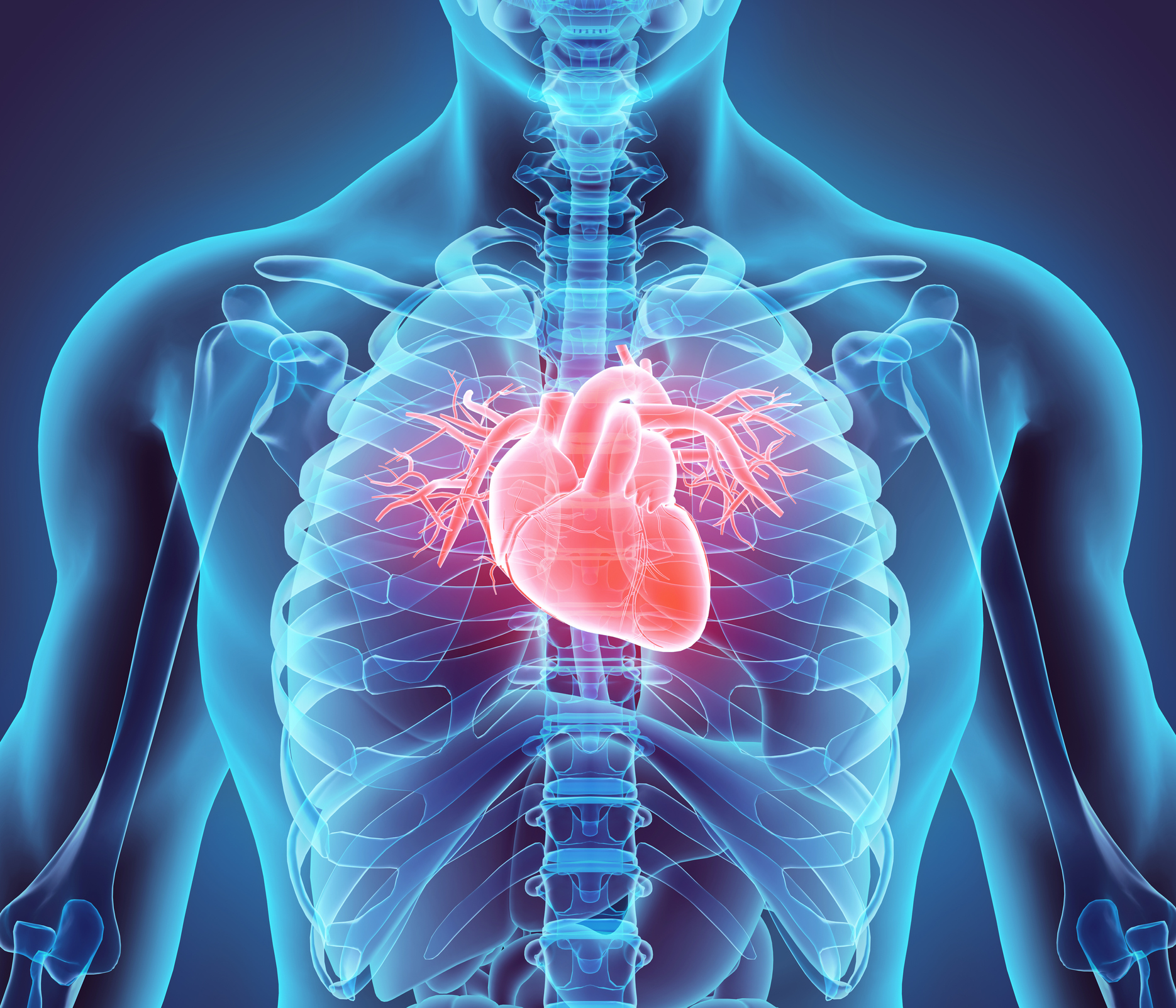 Reducing Risk Factors for Your Heart Health